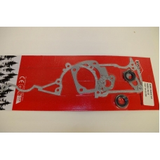 Набор прокладок и сальников к бензопиле Husqvarna 55