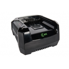 Зарядное устройство Greenworks 82V G82C